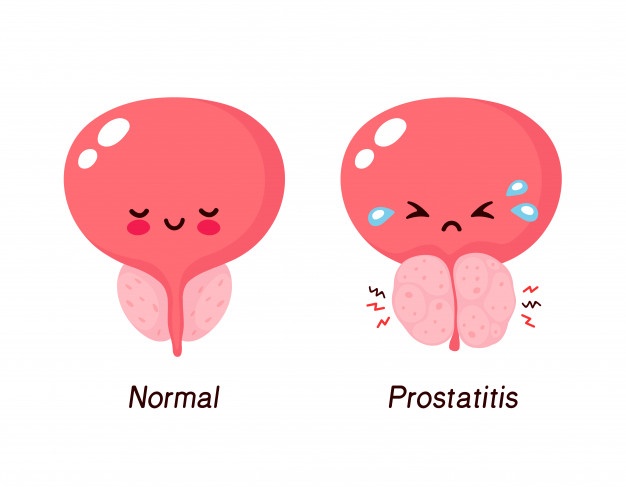 prostaticum-plus-benefici